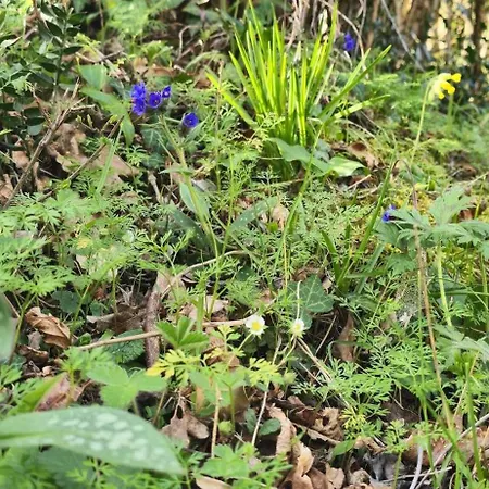 Accesible Countryside Retreat With Private Garden And Modern Facilities Pensjonat