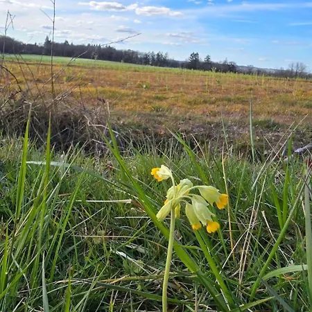 Pensjonat Accesible Countryside Retreat With Private Garden And Modern Facilities Chassenon