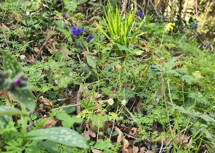 Accesible Countryside Retreat With Private Garden And Modern Facilities Gæstehus