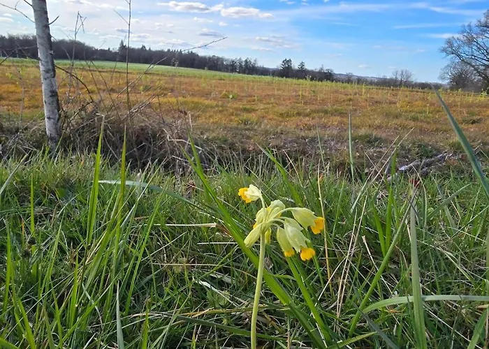 Gæstehus Accesible Countryside Retreat With Private Garden And Modern Facilities Chassenon