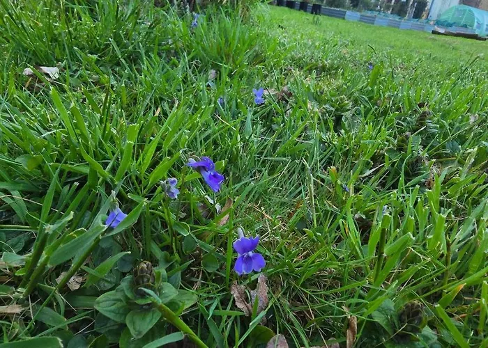 Accesible Countryside Retreat With Private Garden And Modern Facilities Gæstehus Chassenon